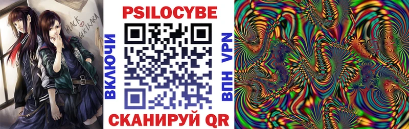 площадка состав  mega tor  Новоалтайск  Галлюциногенные грибы Psilocybine cubensis 